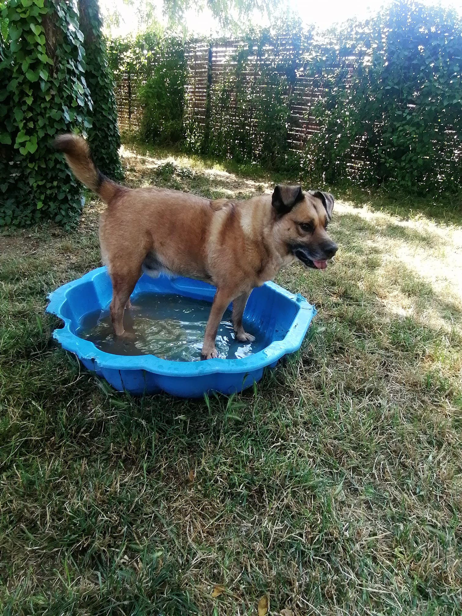 MONGO SPA Poitiers