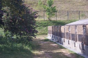 refuge SPA Poitiers