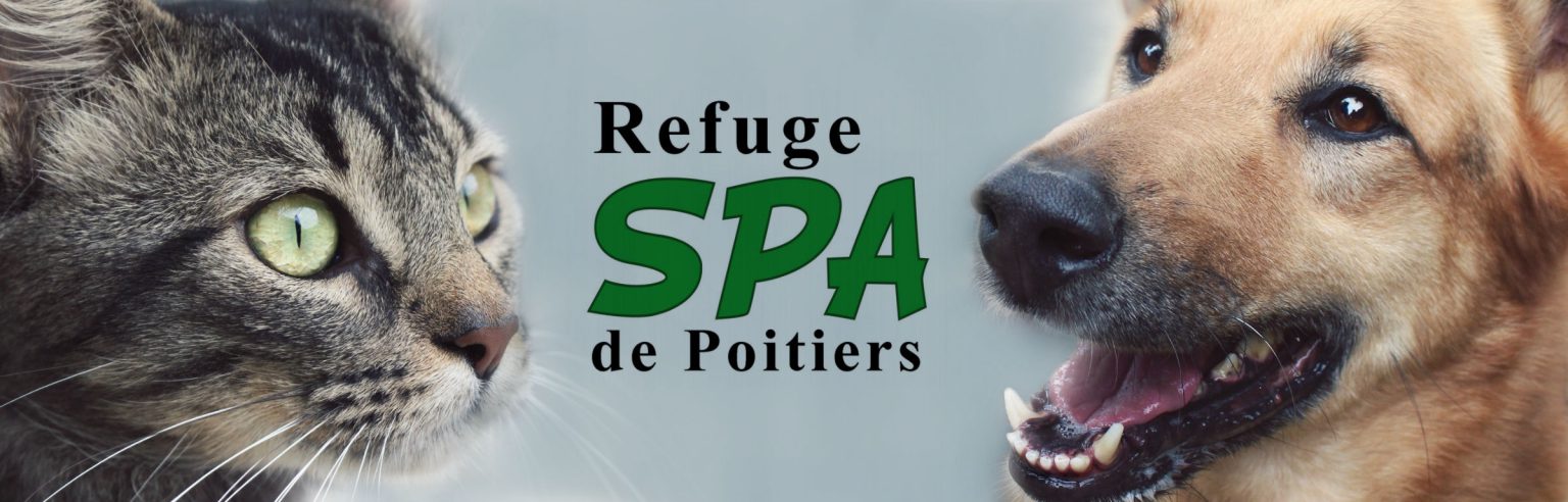 SPA Poitiers
