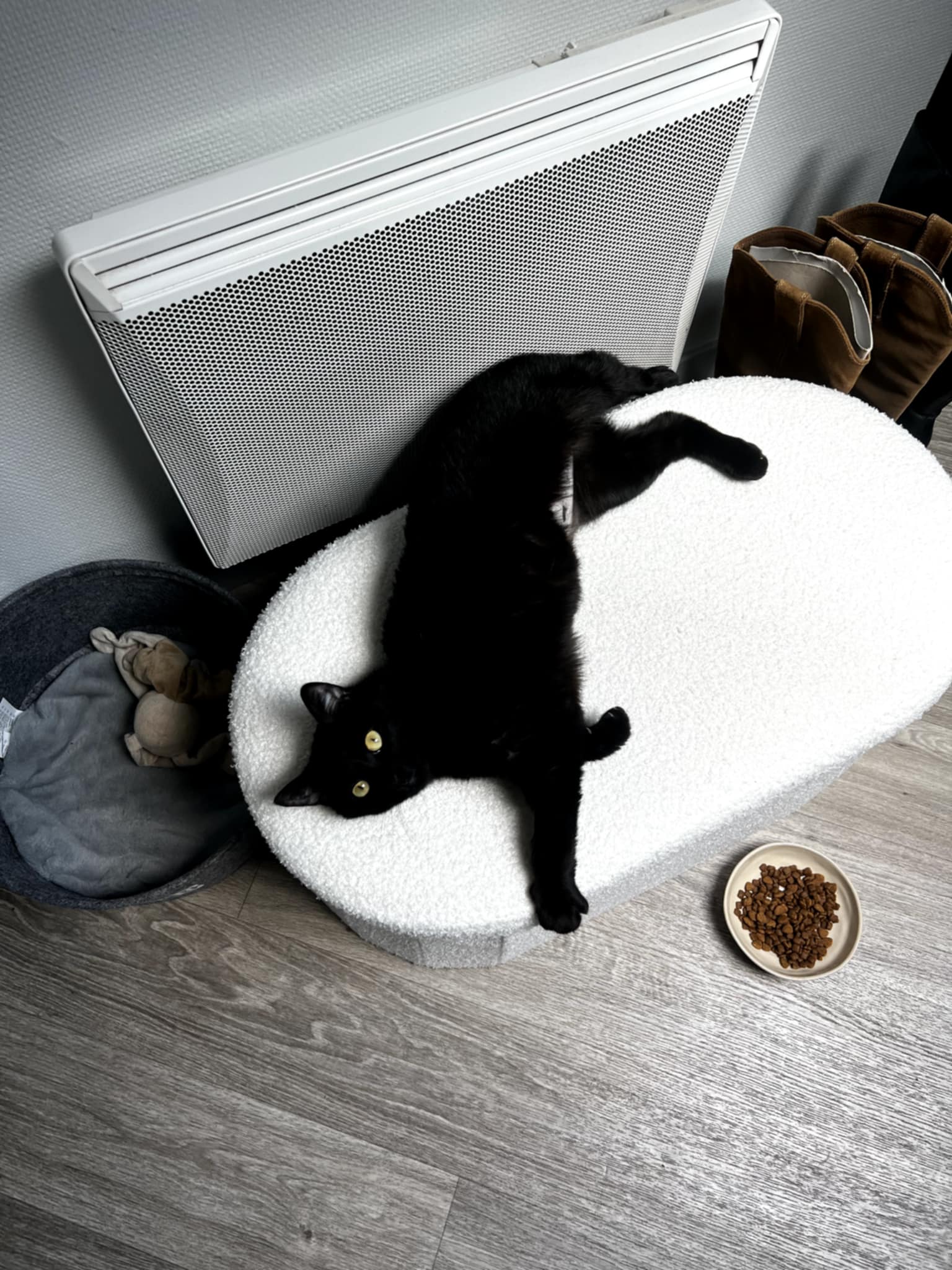 BELLA