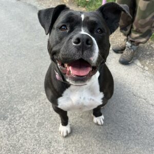 NALA