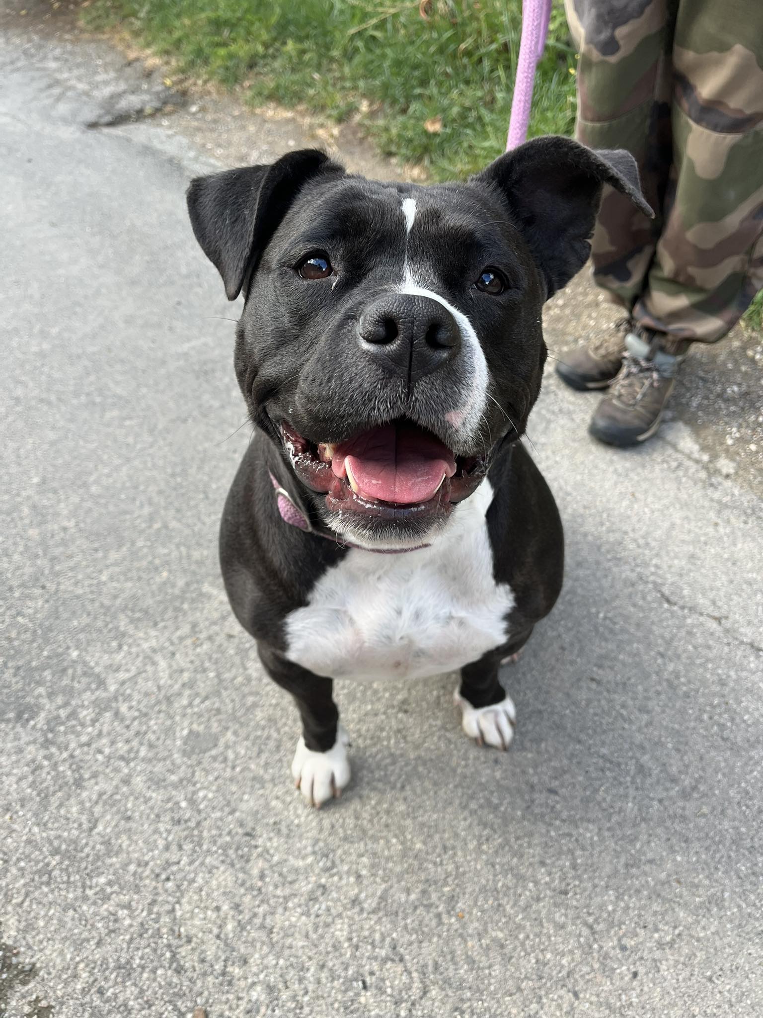 NALA