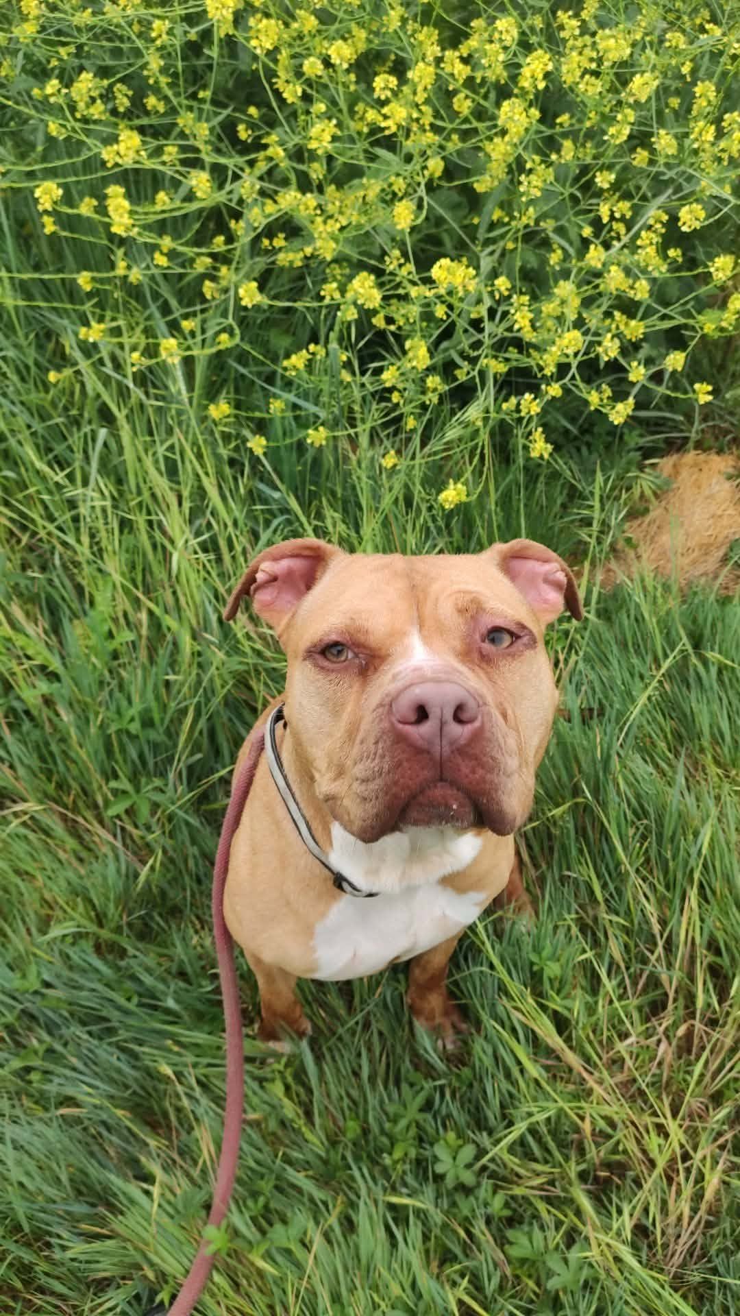 NALa