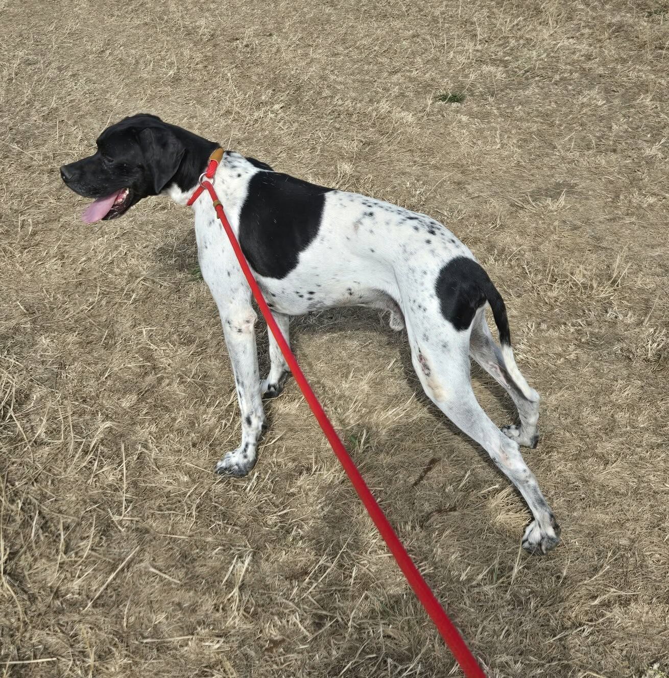 OOPER (URGENT Ooper cherche FA)