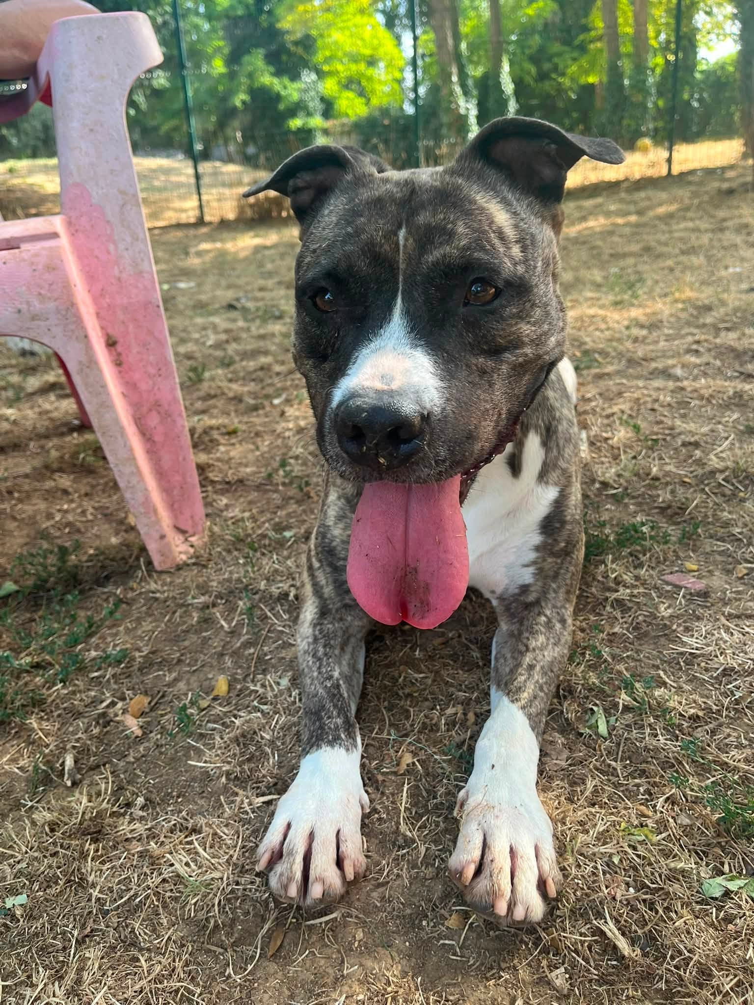 RUBY